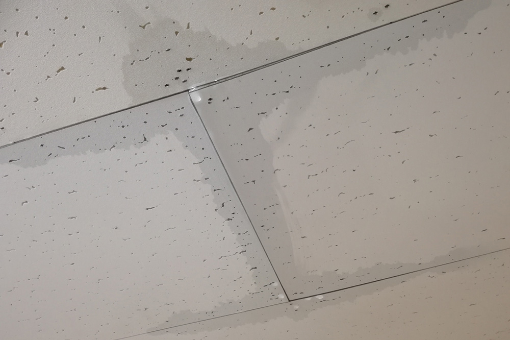 天井からの雨漏りは放置NG！雨漏りの原因や修理費用などを徹底解説