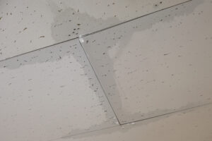 天井からの雨漏りは放置NG！雨漏りの原因や修理費用などを徹底解説