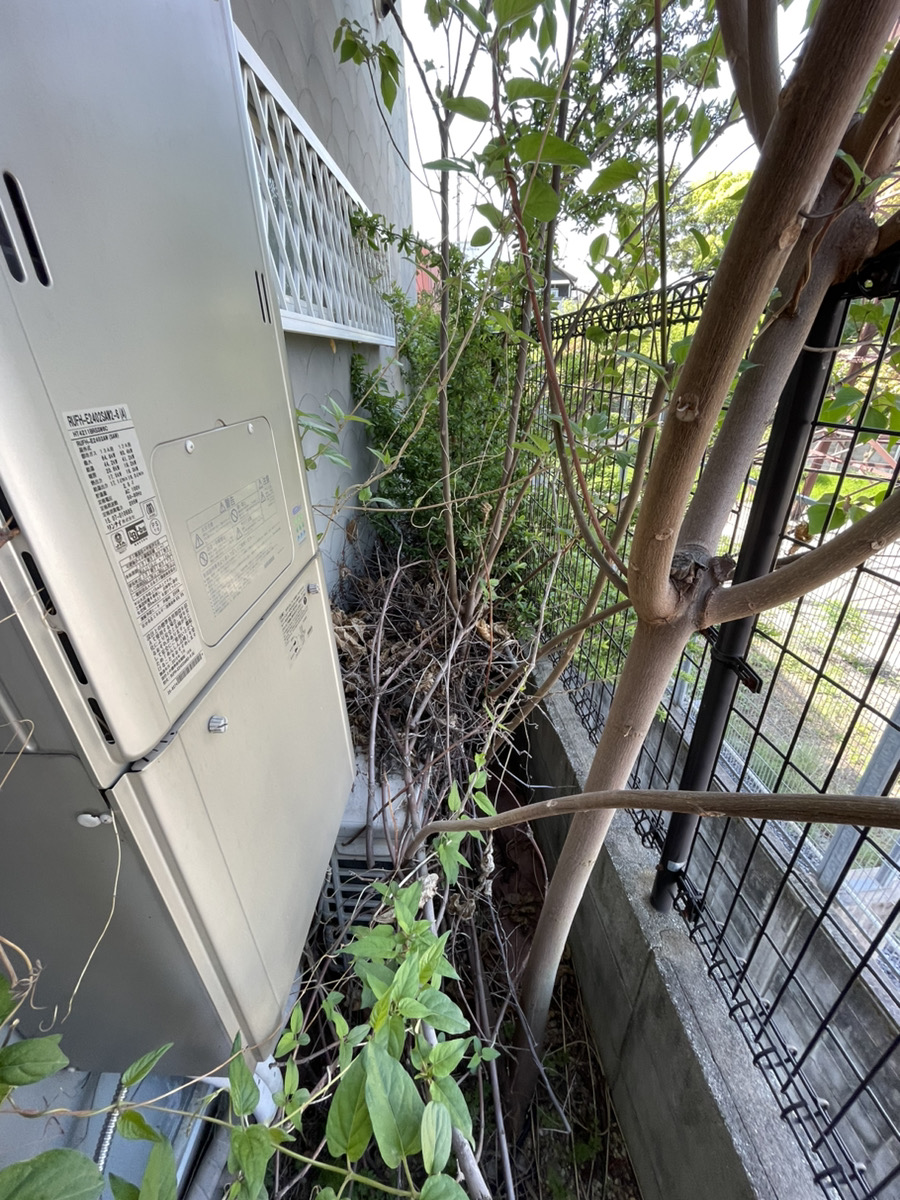 大阪府枚方市樟葉　伐根作業　軽作業　雑草処理　網戸張替 施工前