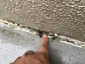 梅雨入りしました！この時期に増える住まいのトラブルとは？