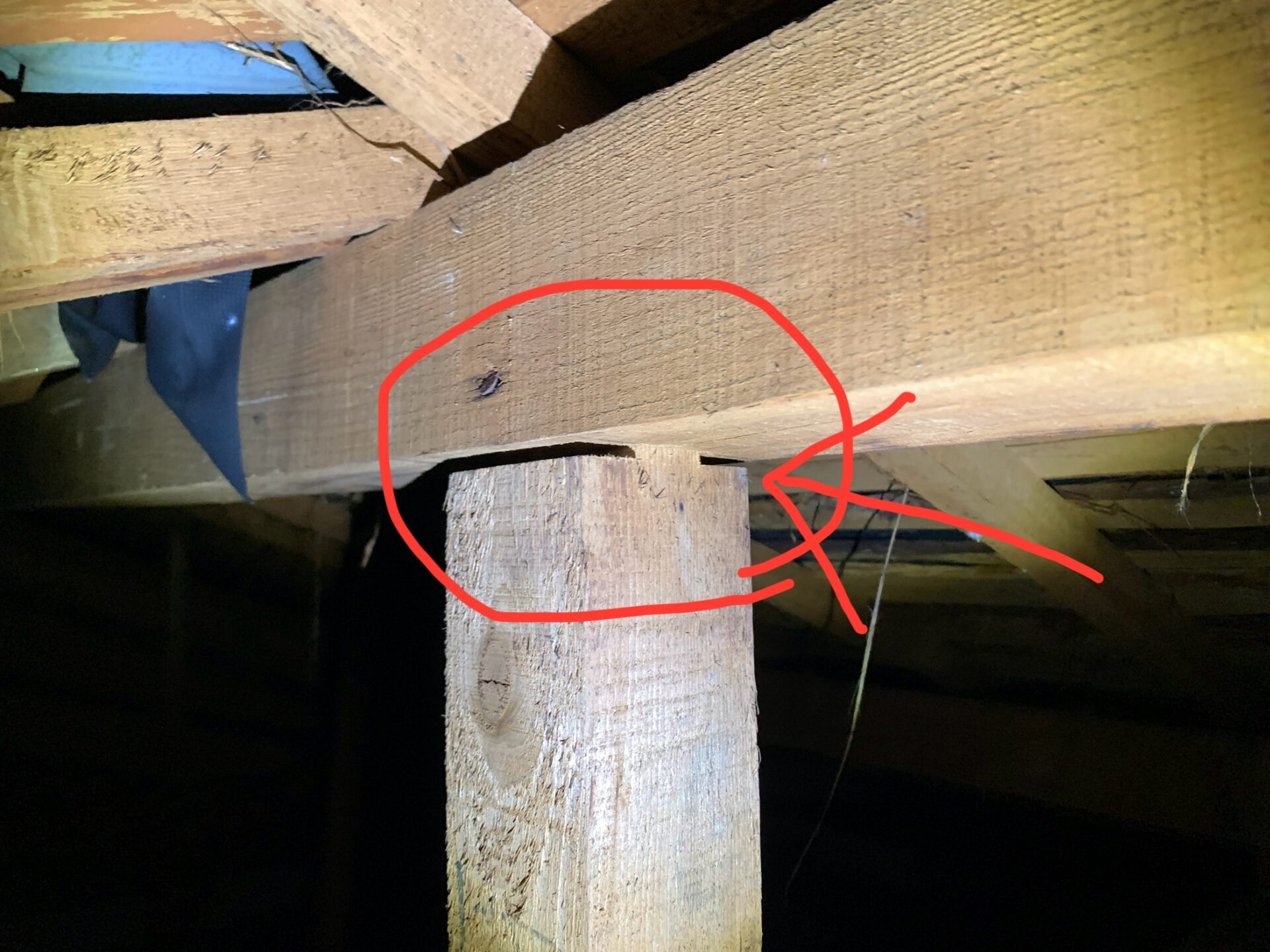大阪府吹田市江坂町　屋根裏（小屋裏）補強金物取り付け工事　地震倒壊対策 施工前