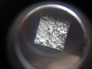 【外壁のひび割れチェック】小さなヒビが大きなトラブルに！？