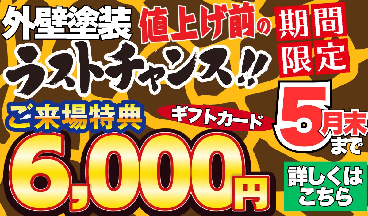 5月チラシ配布中
