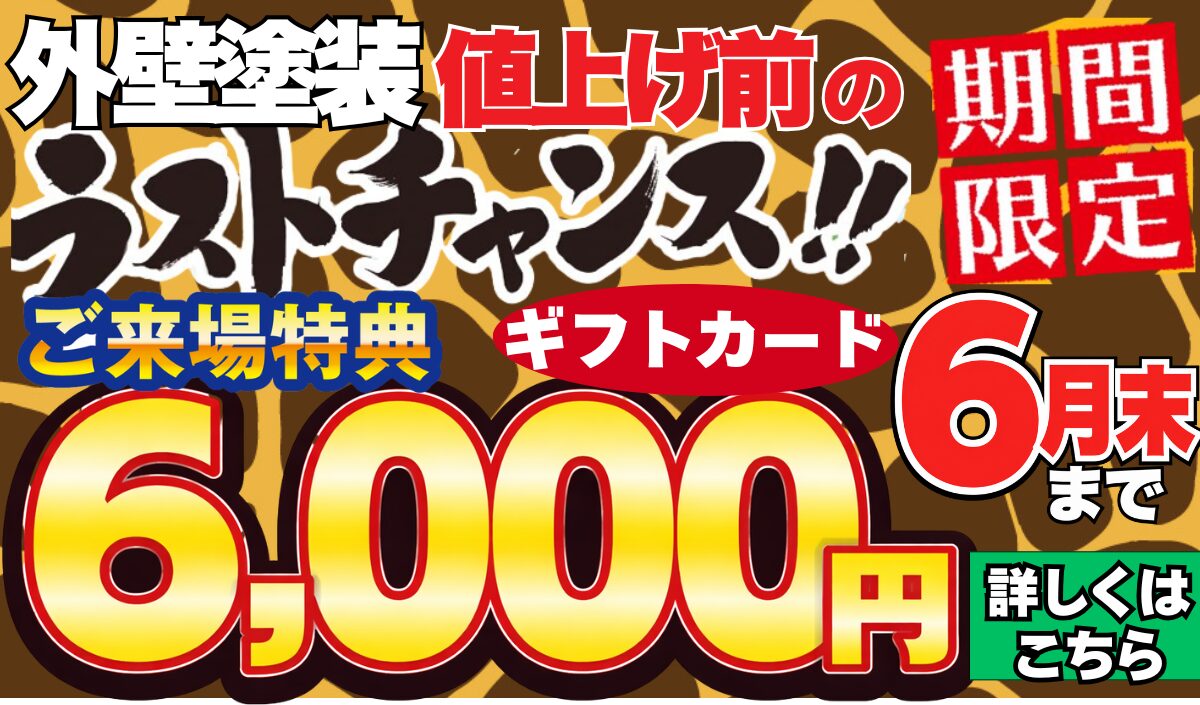 6月チラシ配布中